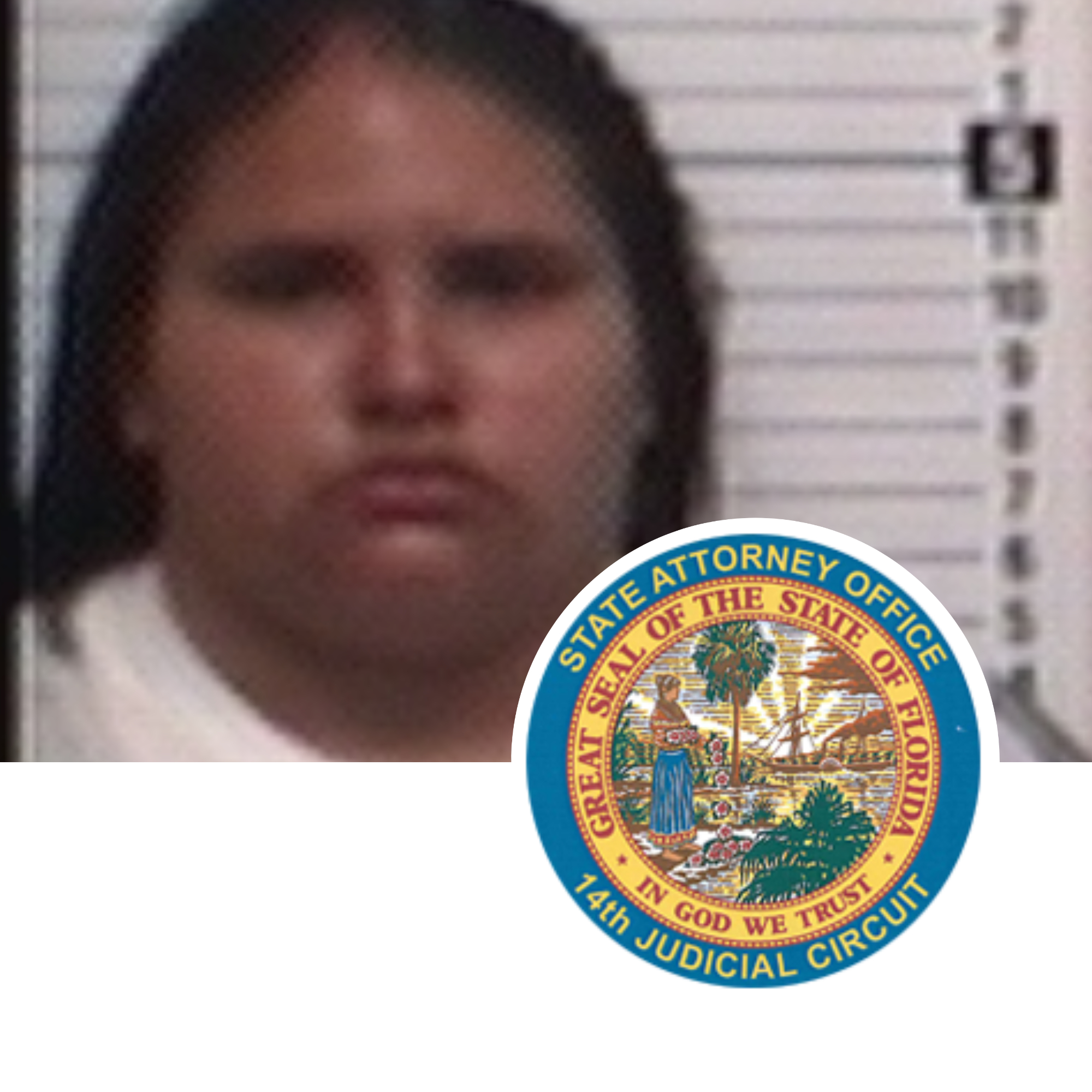 Osceola Inmate Search Florida - uh0xa28